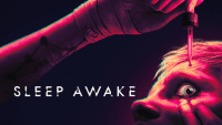 SLEEP AWAKE Free Download for Windows PC