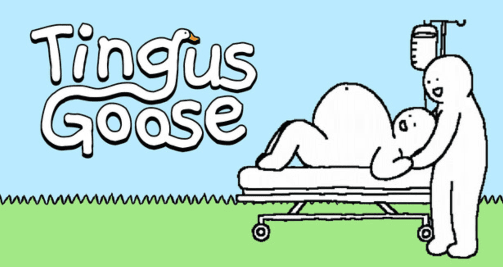 Tingus Goose Free Download for Windows PC