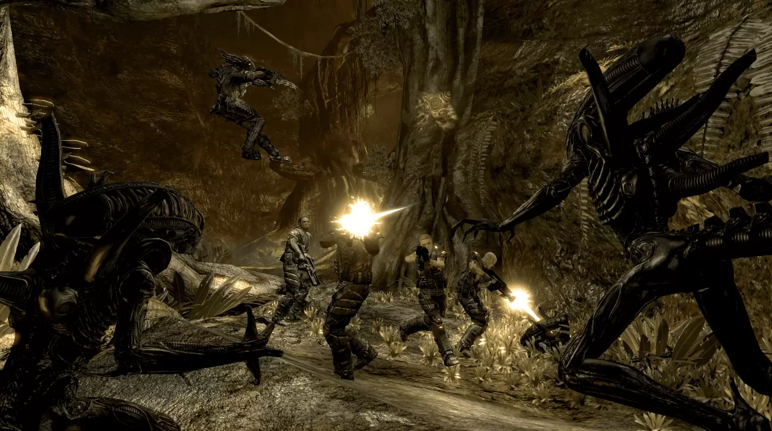 Download Aliens vs Predator (Build 252020 + Multiplayer) Free for Windows (2) Download Aliens vs Predator (Build 252020 + Multiplayer) Free for Windows